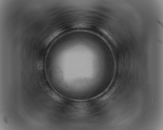 X0000092051017200709121208