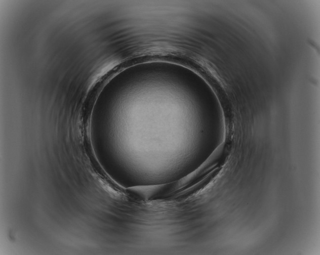 X0000092051018200709121208