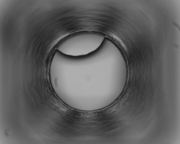 X0000092051019200709121208