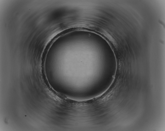 X0000092051020200709121208