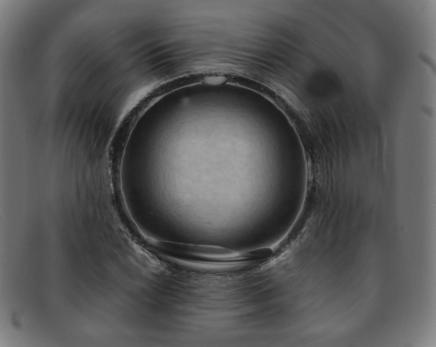 X0000092051022200709121208