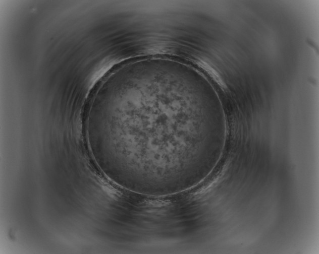 X0000092051023200709121208