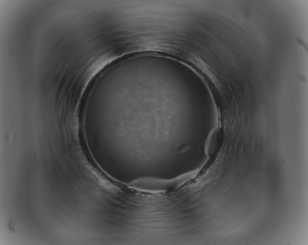 X0000092051024200709121208