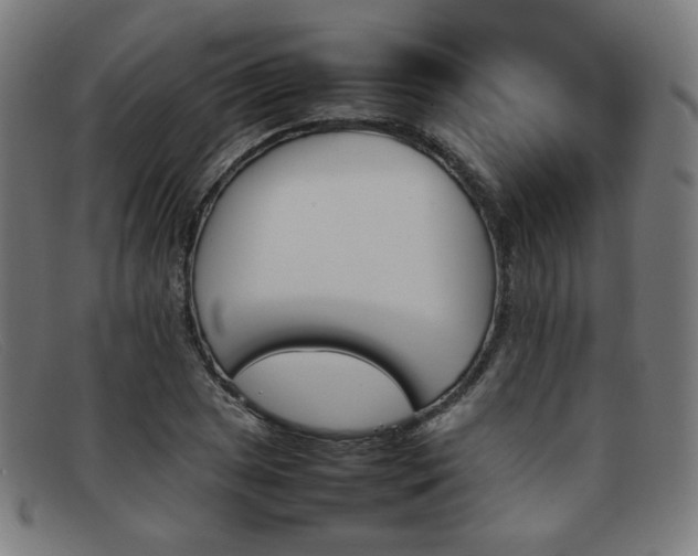 X0000092051025200709121208