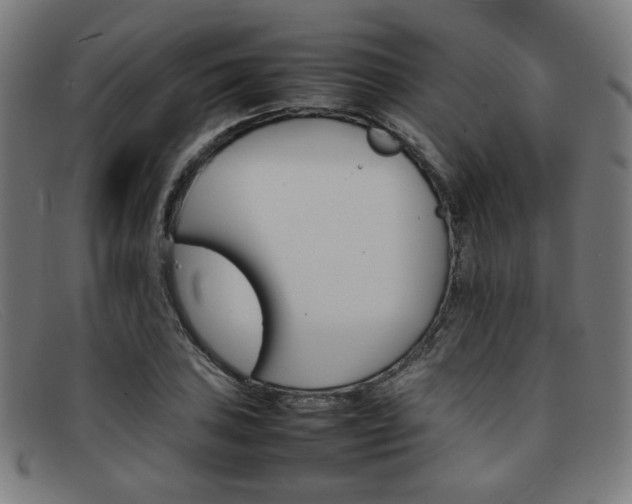 X0000092051027200709121208