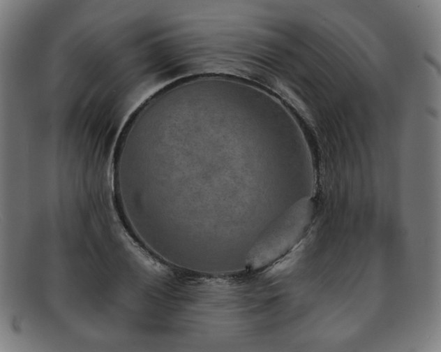 X0000092051028200709121208