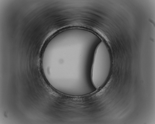 X0000092051029200709121208