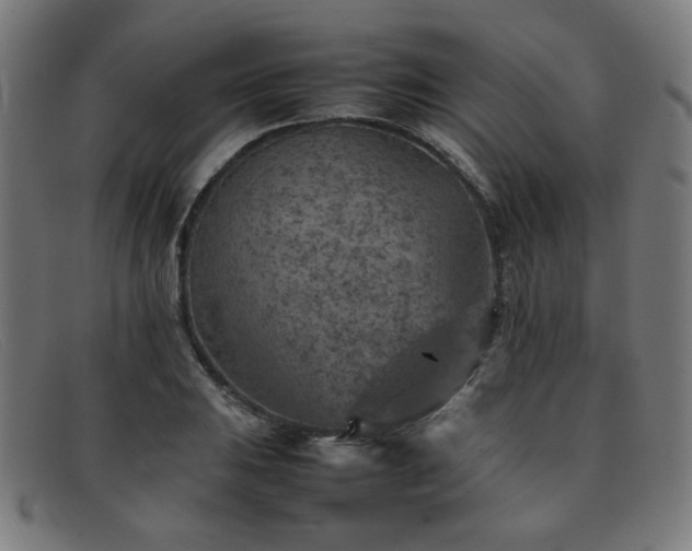 X0000092051031200709121208