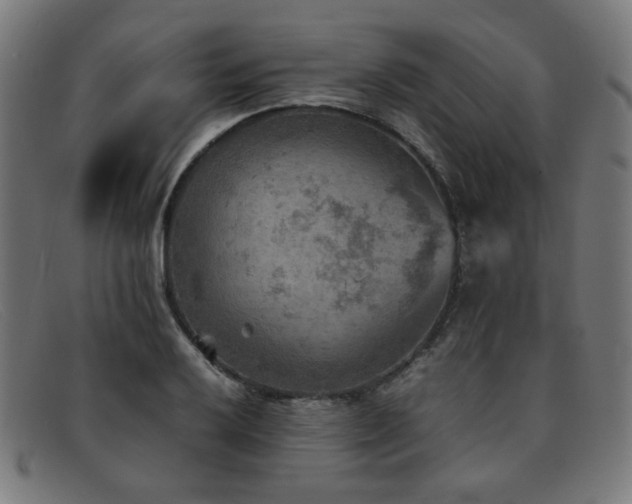 X0000092051032200709121208