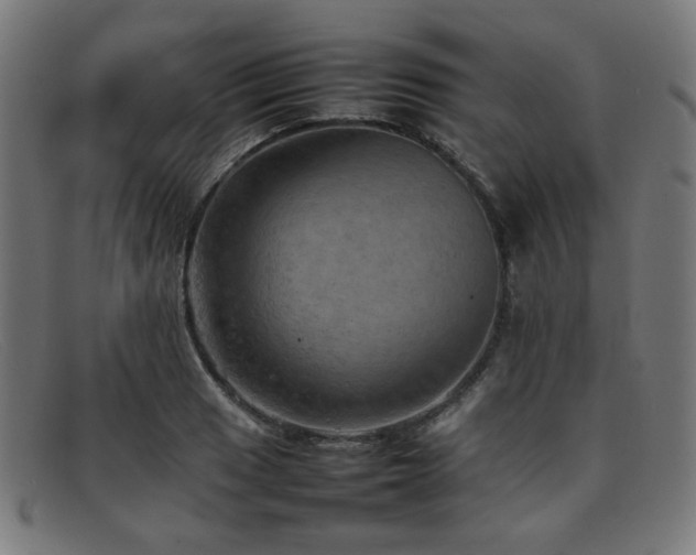 X0000092051033200709121208