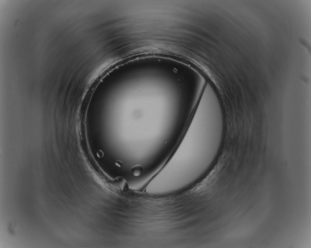 X0000092051034200709121208