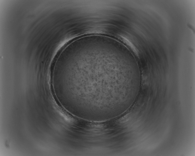 X0000092051035200709121208