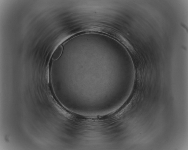 X0000092051036200709121208