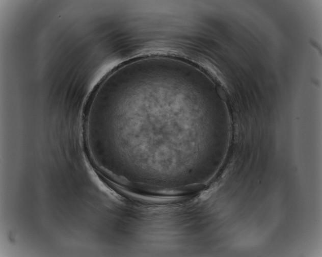 X0000092051038200709121208