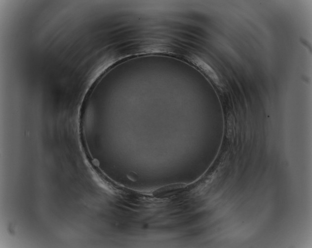 X0000092051039200709121208