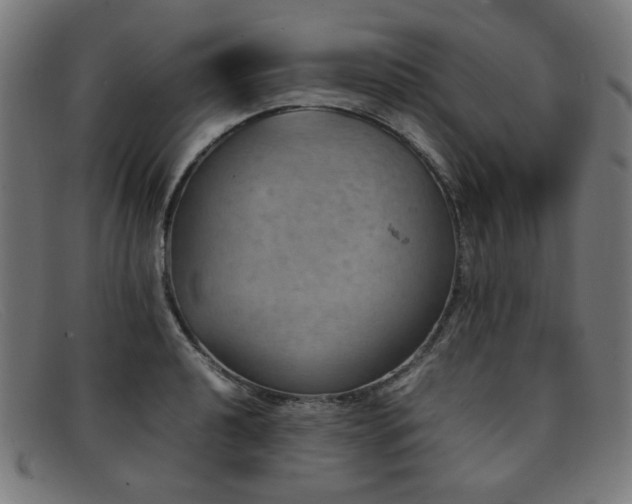 X0000092051040200709121208