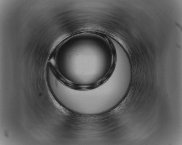 X0000092051042200709121208