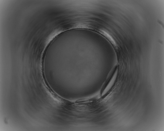 X0000092051043200709121209