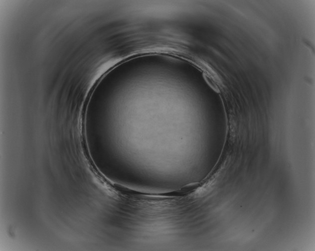 X0000092051044200709121209