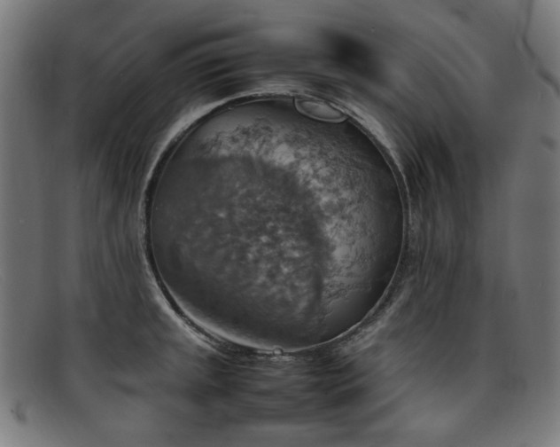 X0000092051045200709121209