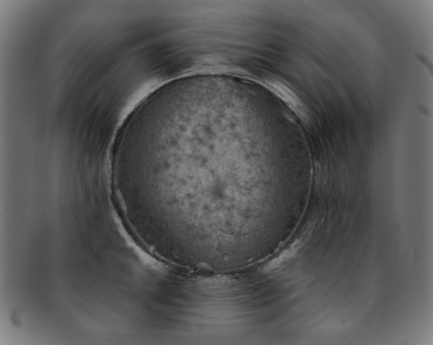 X0000092051046200709121209