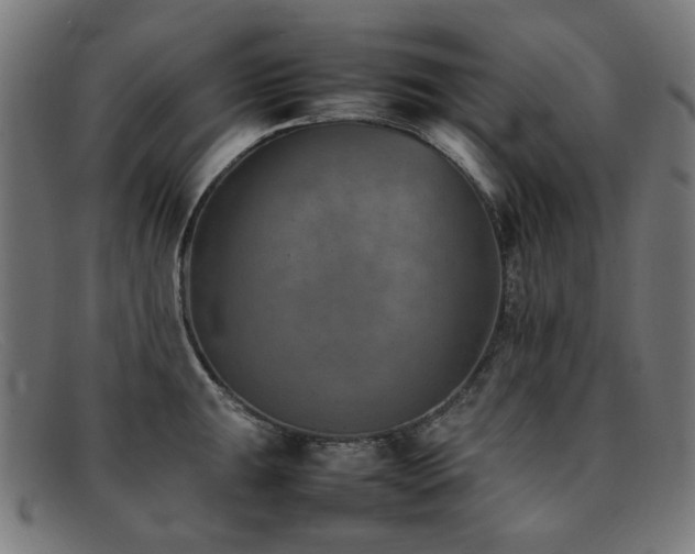 X0000092051047200709121209