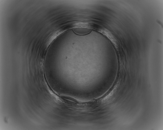 X0000092051049200709121209