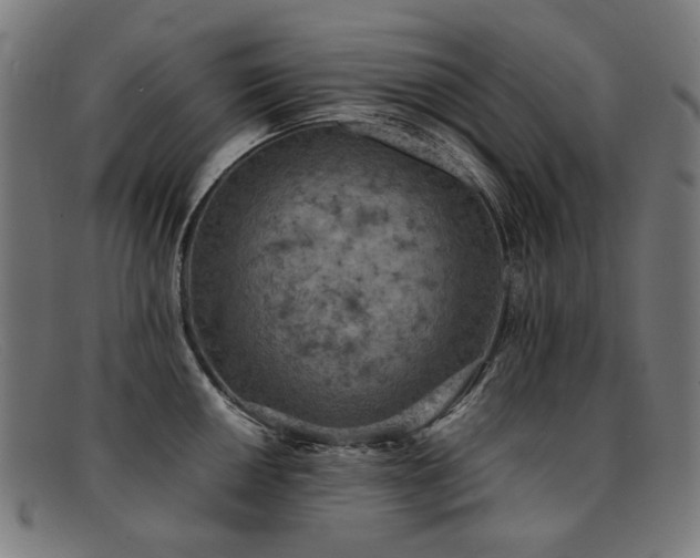 X0000092051050200709121209