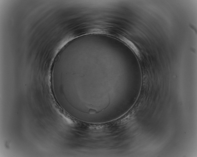 X0000092051051200709121209