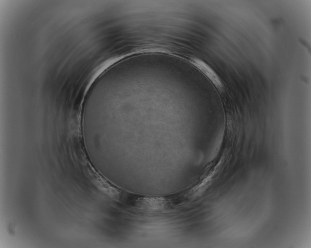 X0000092051052200709121209