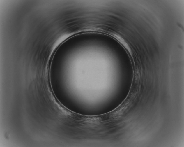 X0000092051053200709121209