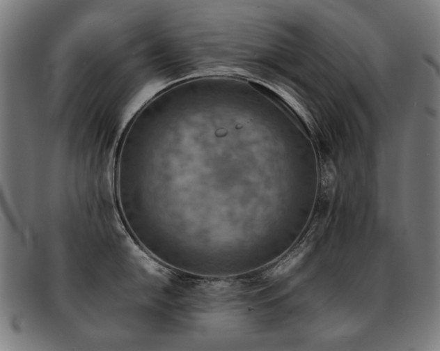 X0000092051054200709121209