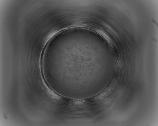 X0000092051055200709121209