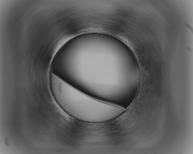 X0000092051056200709121209