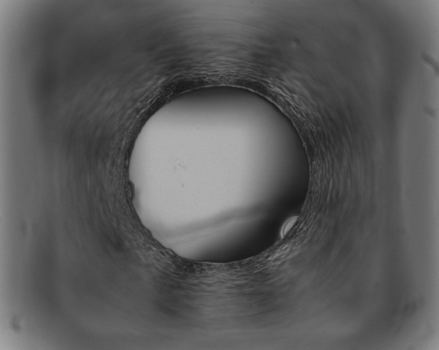 X0000092051057200709121208