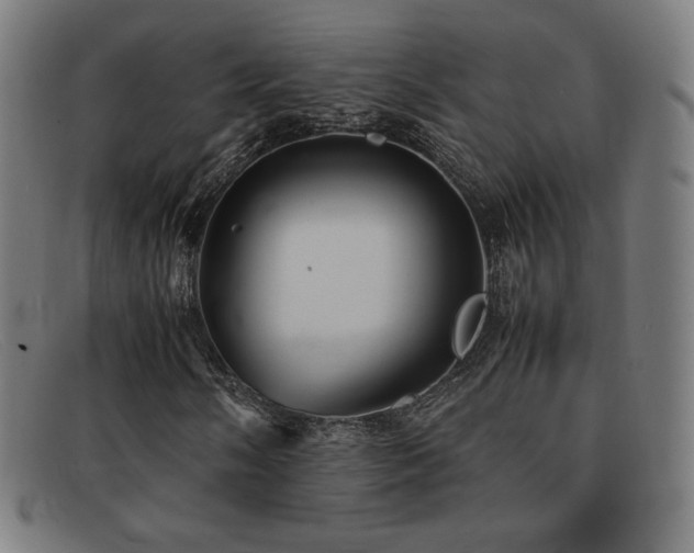 X0000092051058200709121208