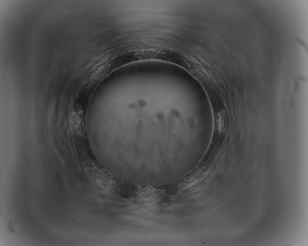 X0000092051059200709121208