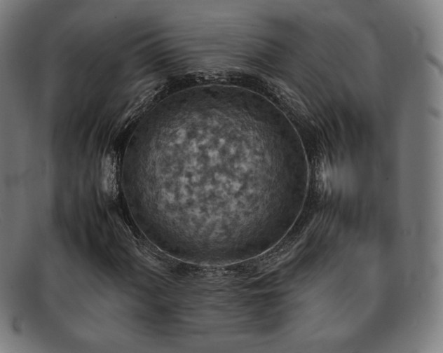 X0000092051060200709121208