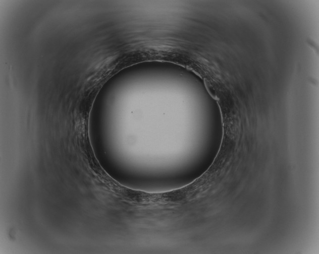 X0000092051061200709121208