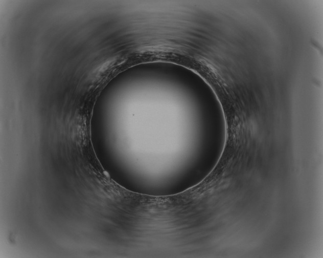 X0000092051062200709121208