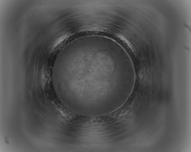 X0000092051064200709121208