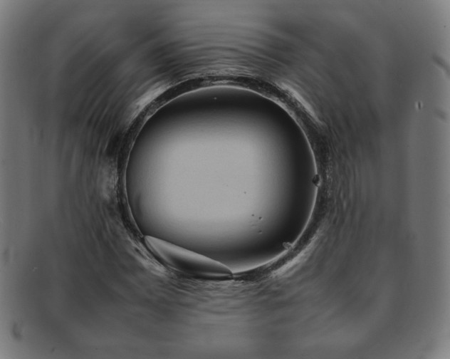 X0000092051065200709121208