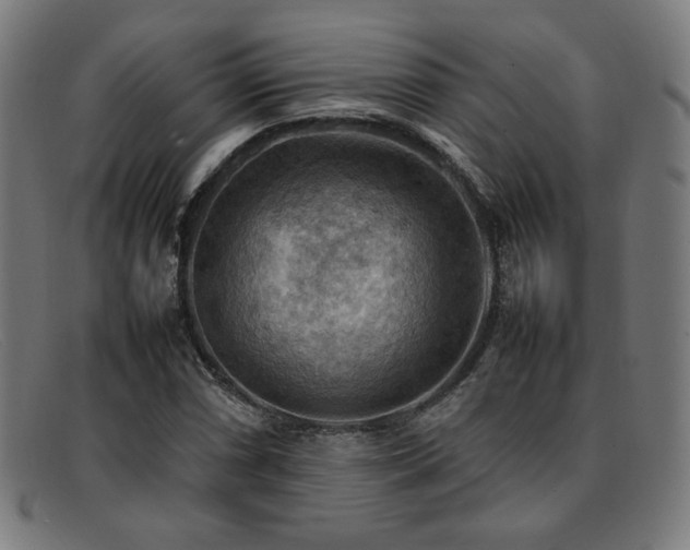 X0000092051066200709121208