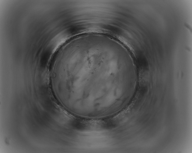 X0000092051067200709121208