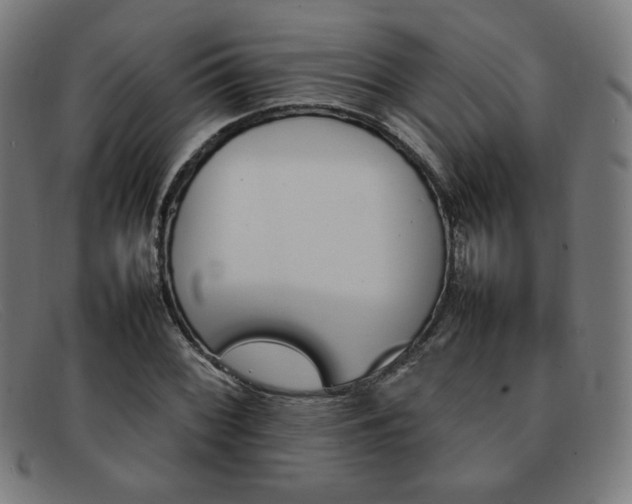 X0000092051068200709121208