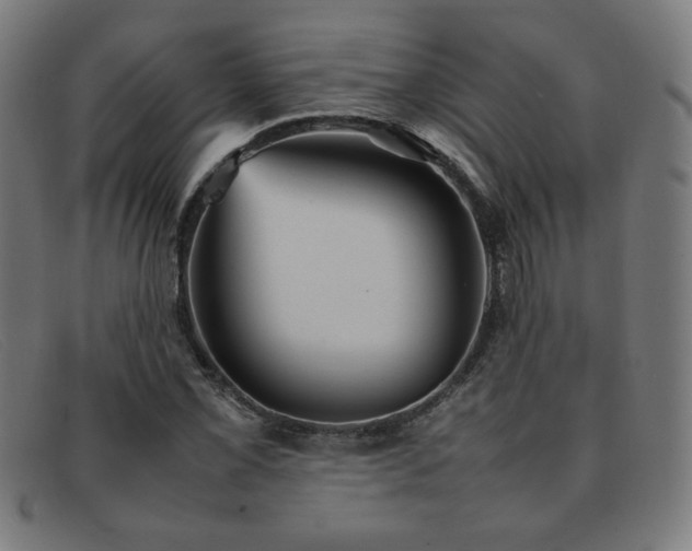 X0000092051069200709121208