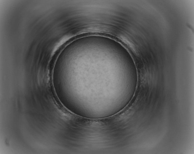 X0000092051070200709121208