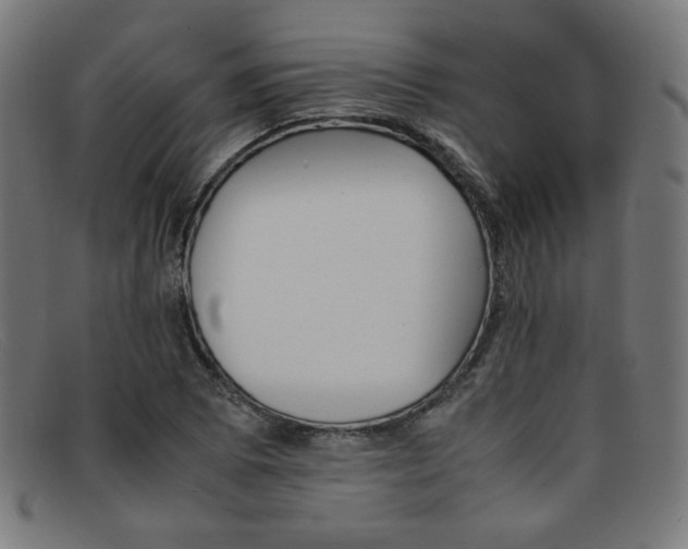 X0000092051073200709121208