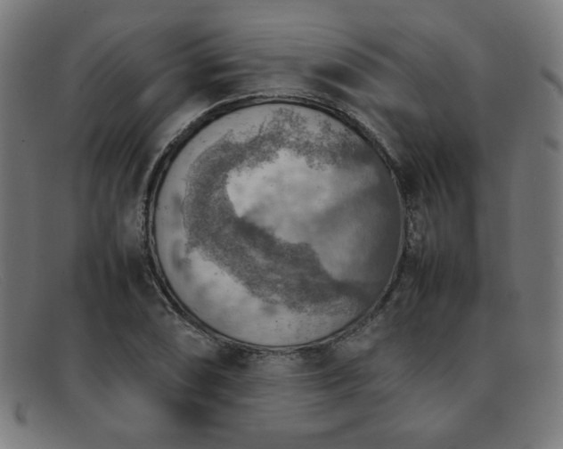 X0000092051074200709121208