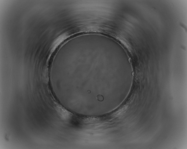 X0000092051075200709121208